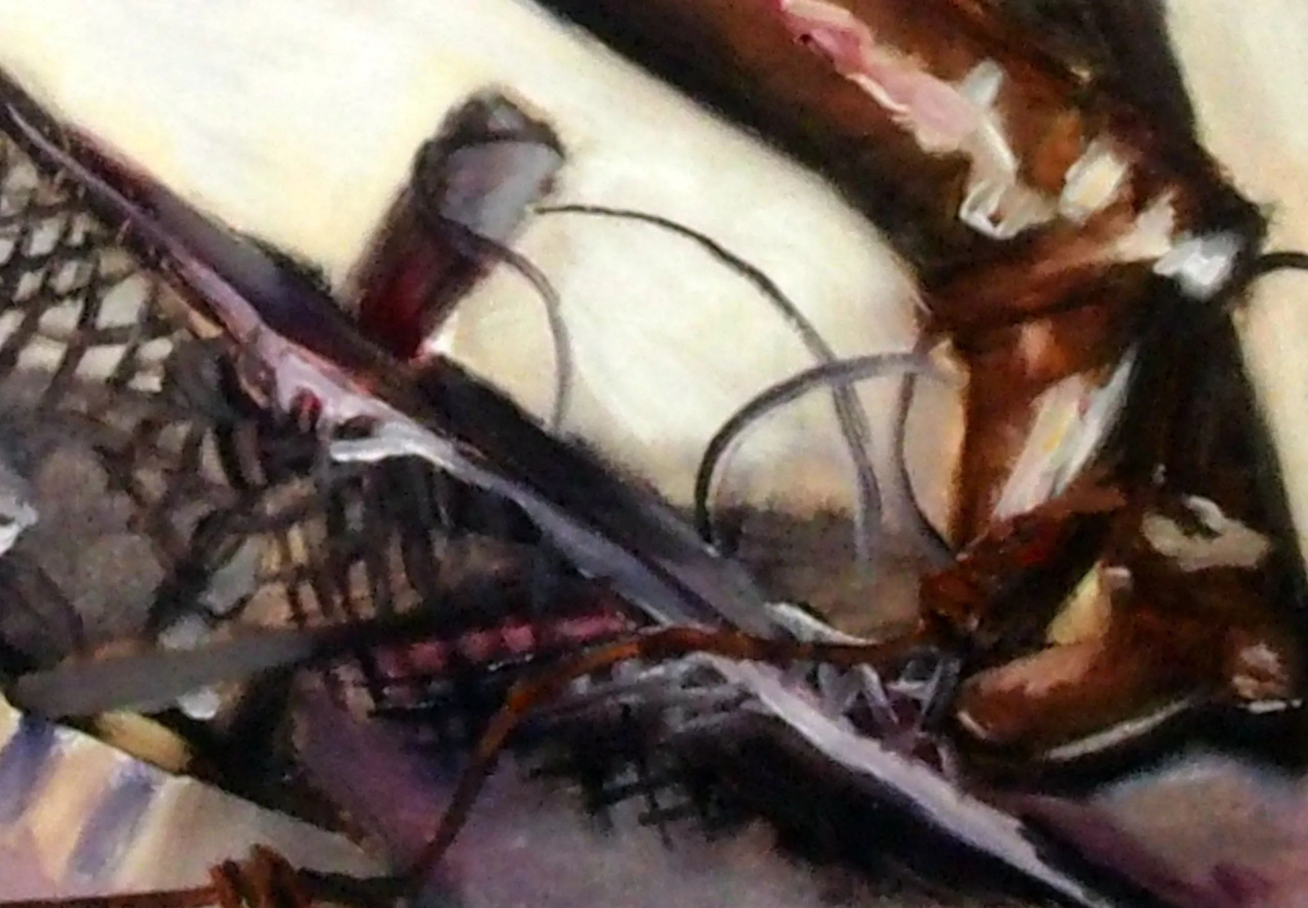 Grenzen verbreken detail