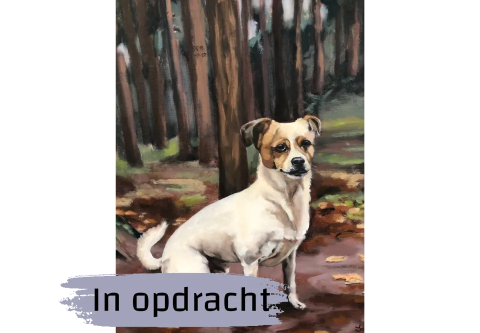 Sammy in opdracht