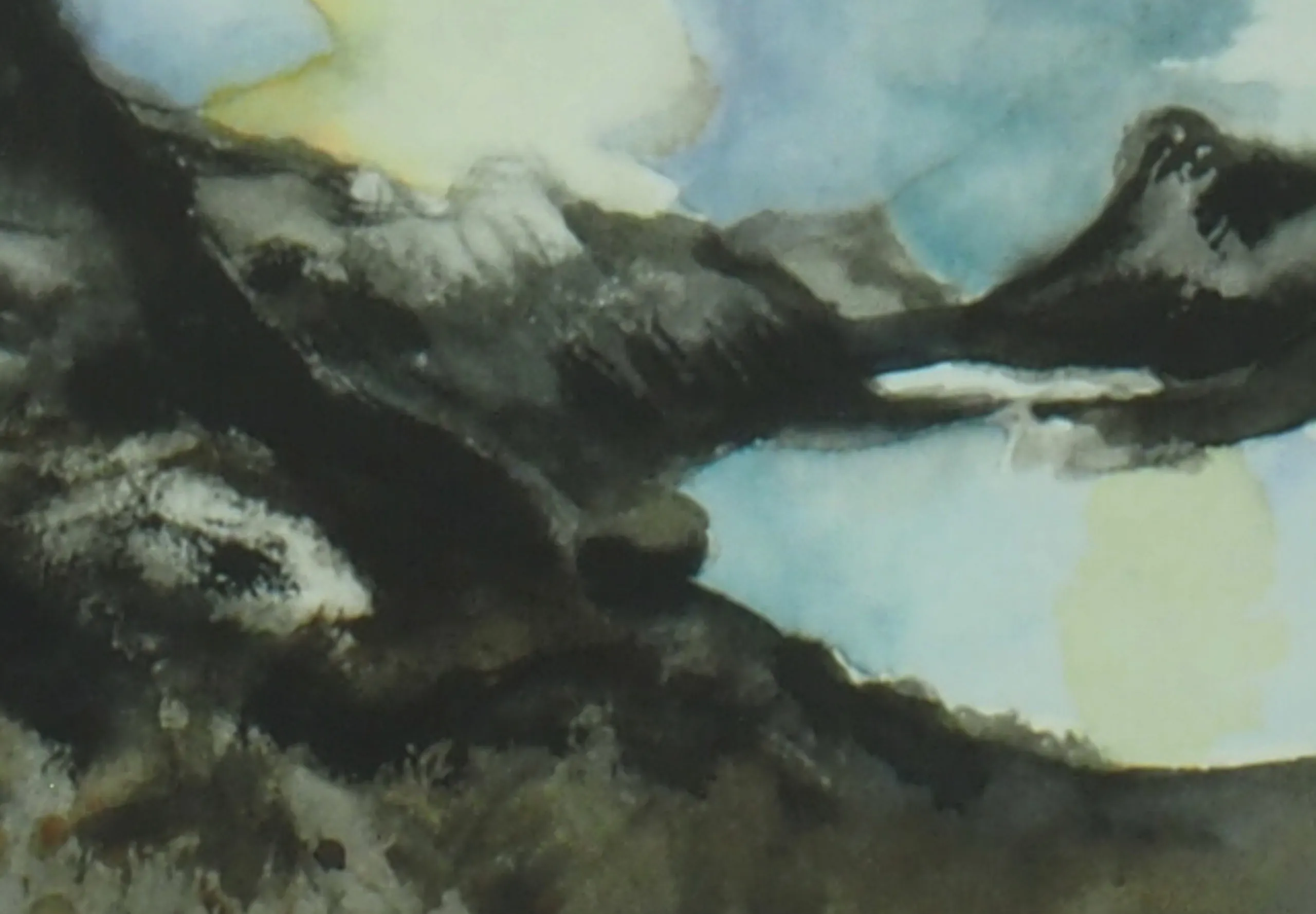 Landschap Westfjords Ijsland detail