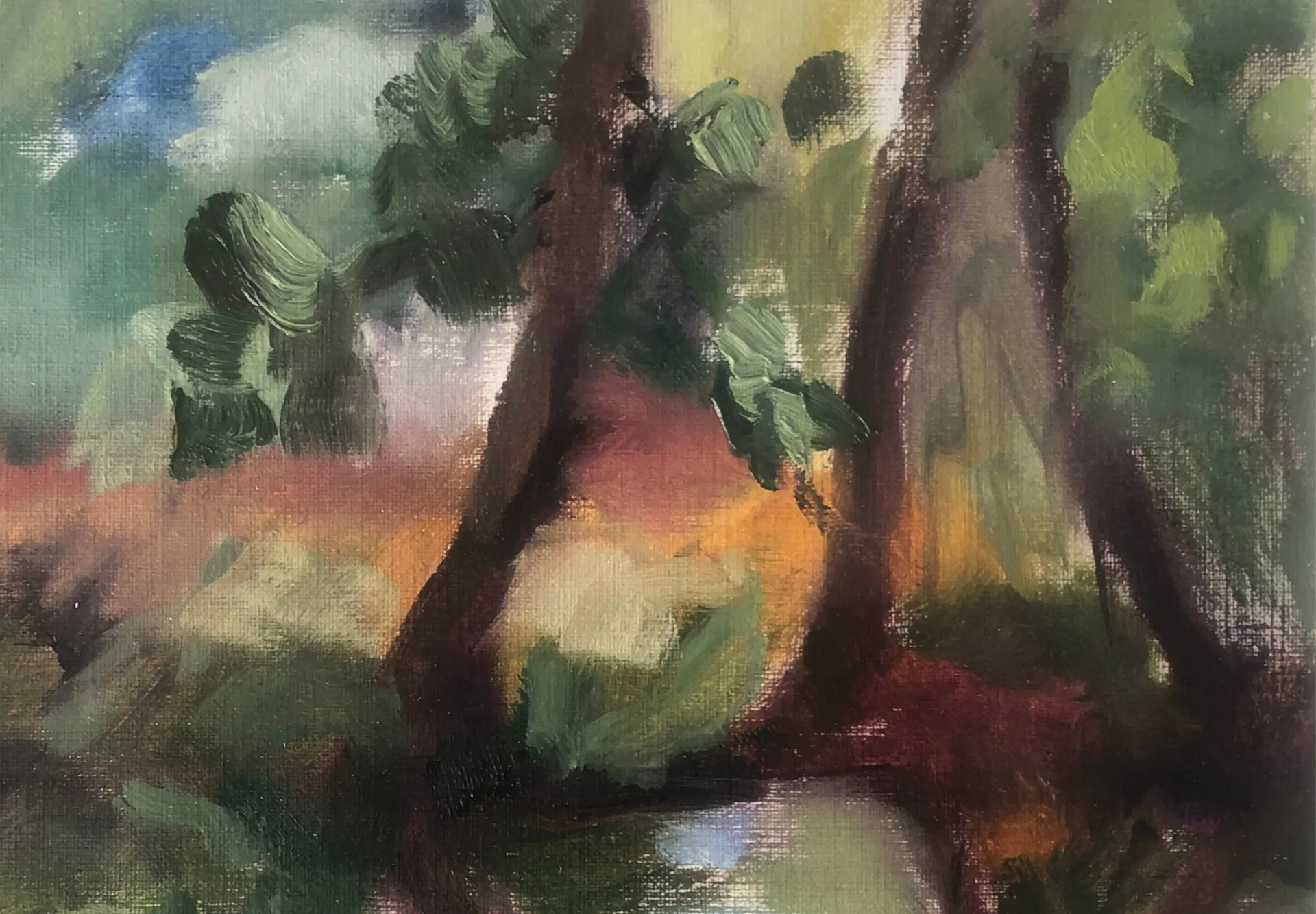 Shore detail