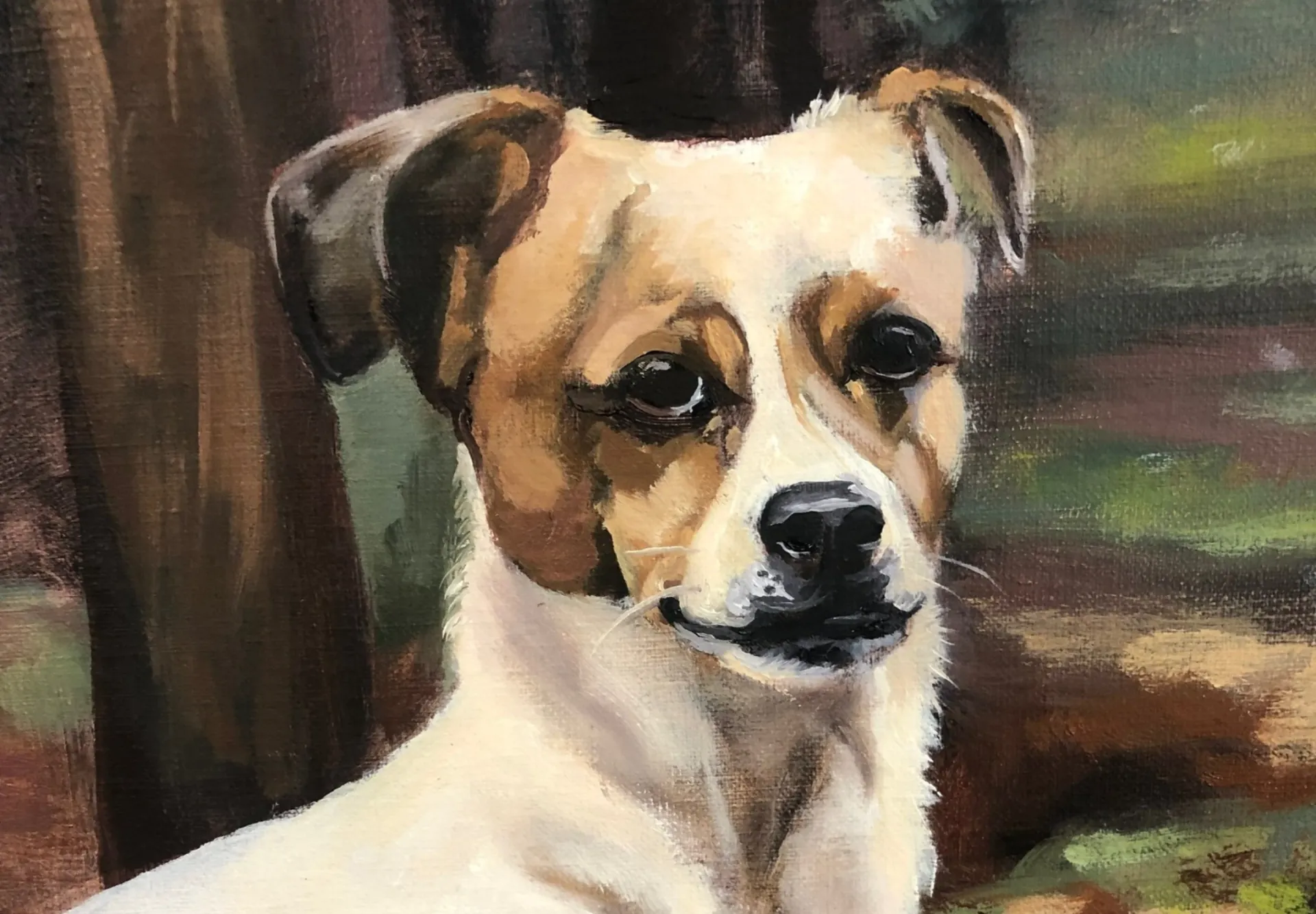Sammy detail