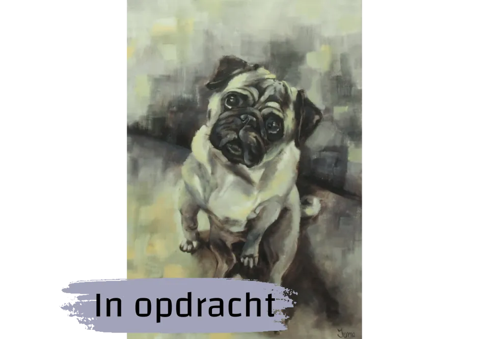 Pixel in opdracht