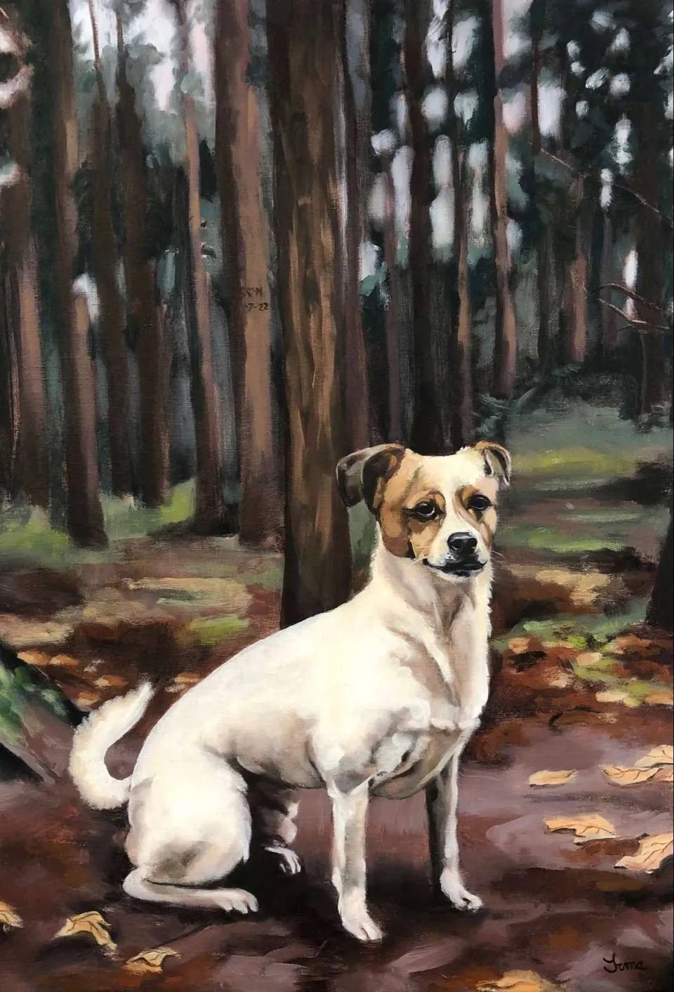 Sammie in opdracht